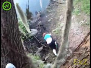 Fail : Girl falls out of tree..